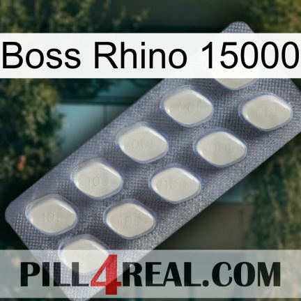 Boss Rhino 15000 08